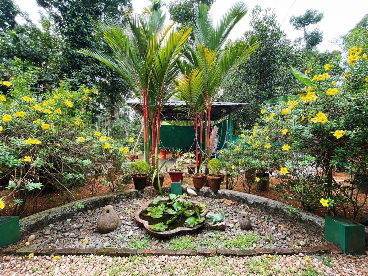 Kuttickattil Gardens Homestay Kottayam Exteriör bild
