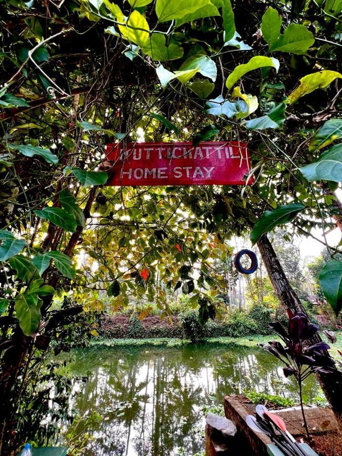 Kuttickattil Gardens Homestay Kottayam Exteriör bild