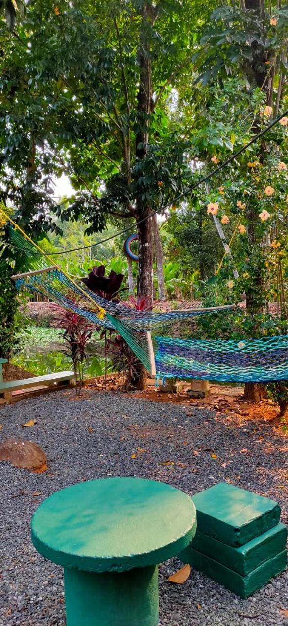 Kuttickattil Gardens Homestay Kottayam Exteriör bild