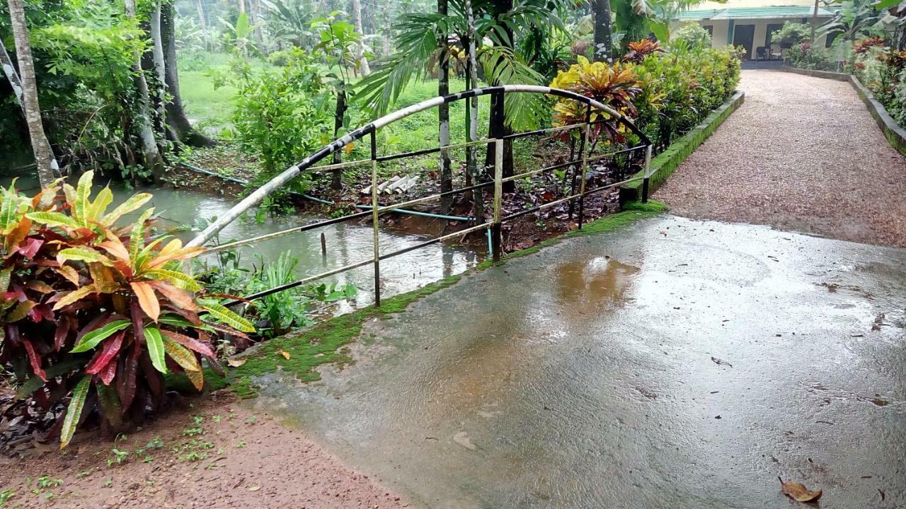 Kuttickattil Gardens Homestay Kottayam Exteriör bild